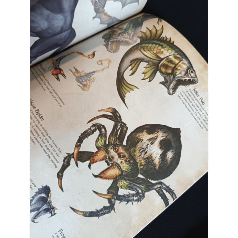 Dragon's Crown Playstation 3 PS3 Pal Eng + Artworks - immagine 10