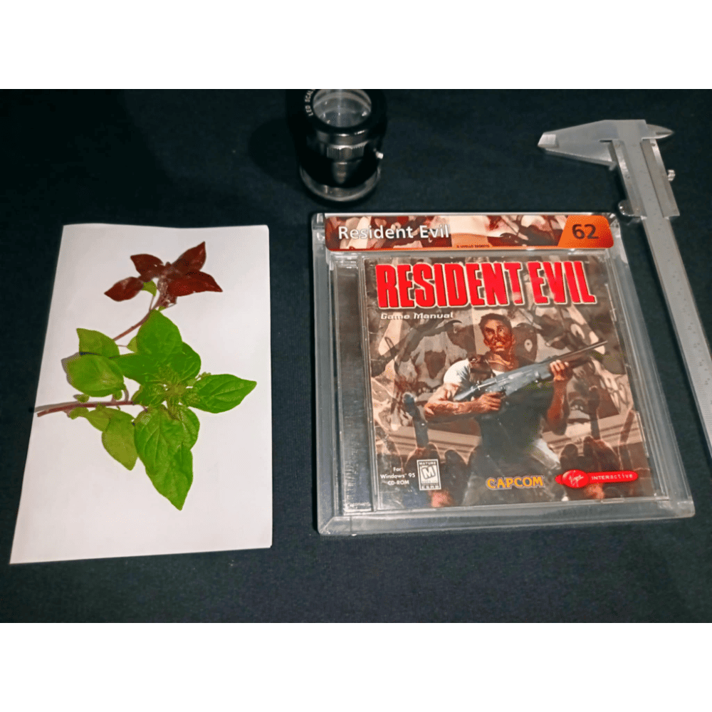 Resident Evil PC Eng CiB LS 62
